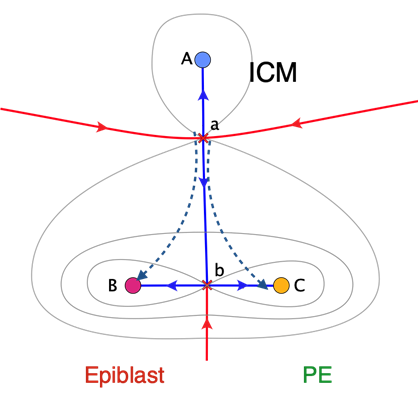 Illustration of heteroclinic flip